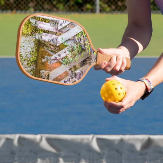 泉光寺仏像 ピックルボールラケット (インサイチュ)