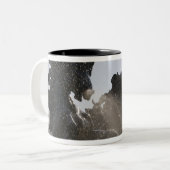 泉、モニュメントデジロンダン、ボルドー、 ツートーンマグカップ (正面左)