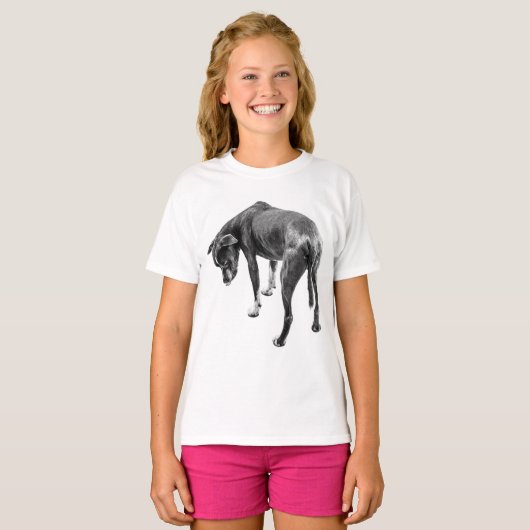 法に縛られる Tシャツ (正面フル)