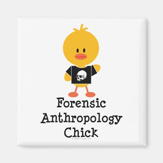 法医人類学のヒック磁石 マグネット (正面)