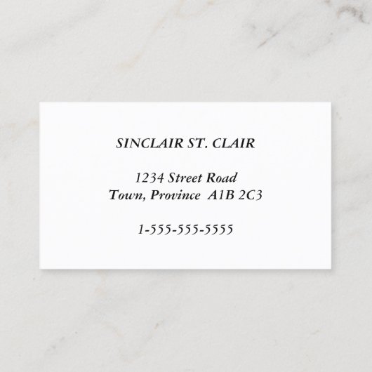 法律ファッションドプロフェッショナル名刺 名刺 (裏面)