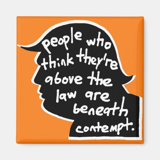 法磁石の上のボンバスス マグネット (正面)