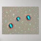 泡の中の3本の指 ポスター (正面)