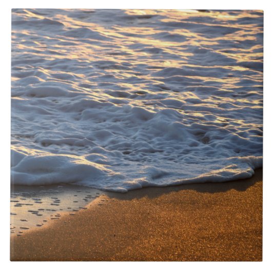 泡波を海ビーチ  タイル (正面)