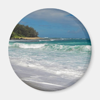 泡状サーフ マグネット