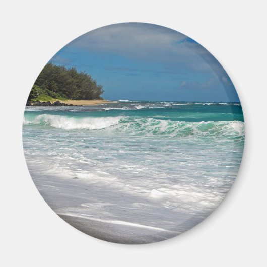 泡状サーフ マグネット (正面)