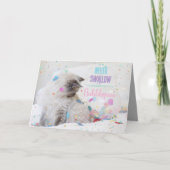 泡立おもしろいち泡ハッピーバースデー猫 カード (正面)