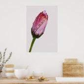 泡立つデイジー ポスター (キッチン)