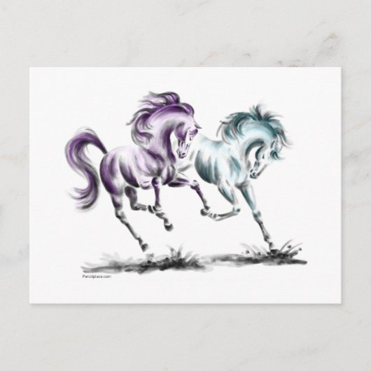 泡立つ競走馬 ポストカード (正面)