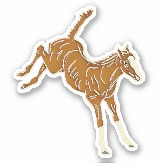 泡立つ馬のフォール – 数々のトランスカラーカスタムカラー。 シール (正面)