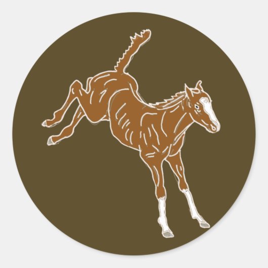 泡立つ馬蹄 – 透明なユニカラー。 ラウンドシール (正面)