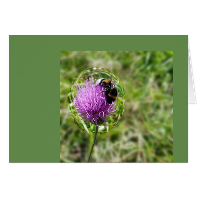 泡立つ (正面横)