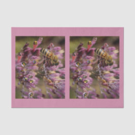 泡蜂のティッシュペーパー 薄葉紙