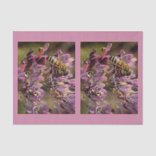 泡蜂のティッシュペーパー 薄葉紙 (正面)