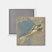 波で洗ったシェルケープコッドのアイテム マグネット (正面/裏面)