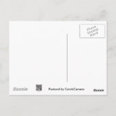 波で洗った黒いコンチシーシェル ポストカード (裏面)