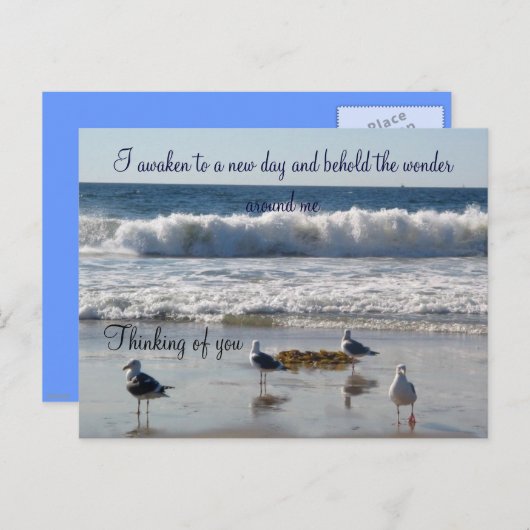 波とカモメのはがき ポストカード (正面/裏面)