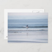 波に乗ってる！ ポストカード (正面/裏面)