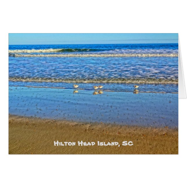 波に打ち寄せる海岸の鳥！ヒルトンヘッドアイランドSC (正面横)
