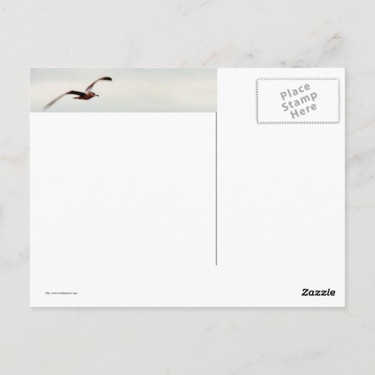 波の上のカモメ ポストカード (裏面)