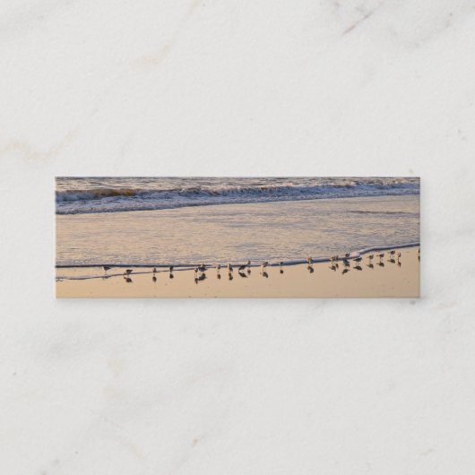 波の中で朝食をニブル砂ピパーズ スキニー名刺 (正面)