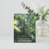 波の彫刻の頂上 ポストカード (スタンド正面)