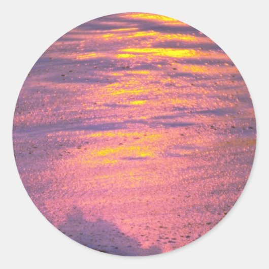 波の激しい水の上に泡を立てる ラウンドシール (正面)