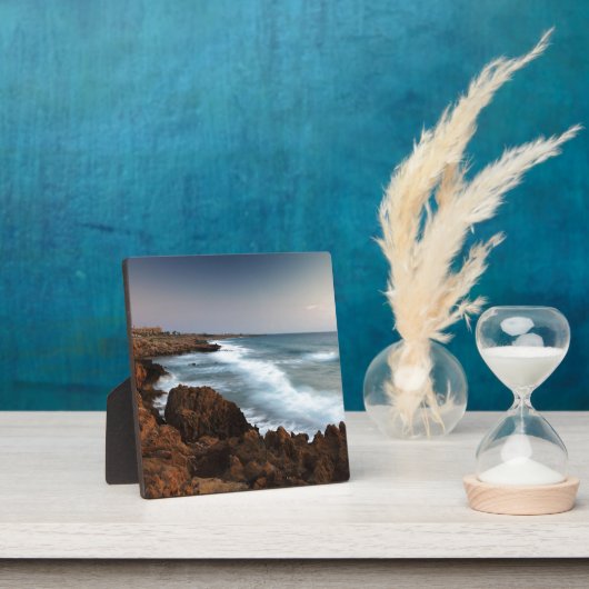 波ぼやけ フォトプラーク (インサイチュ)