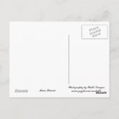 波をサーフィン… ポストカード (裏面)