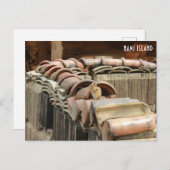 波島はがき ポストカード (正面/裏面)