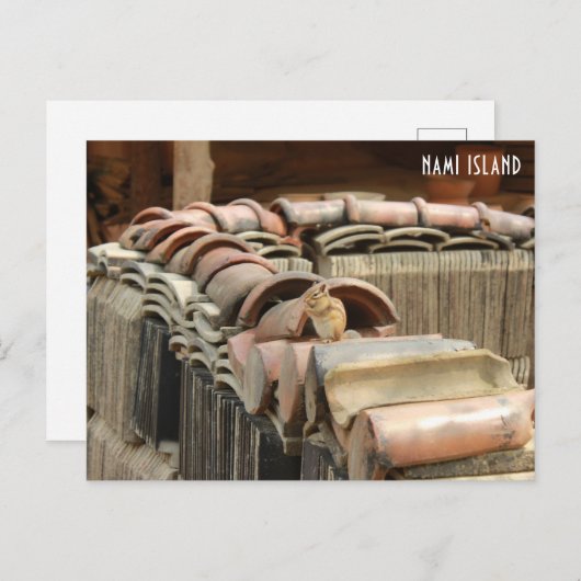 波島はがき ポストカード (正面/裏面)