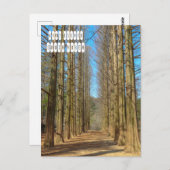 波島 ポストカード (正面/裏面)