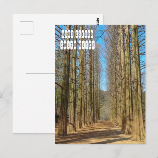 波島 ポストカード (正面/裏面)