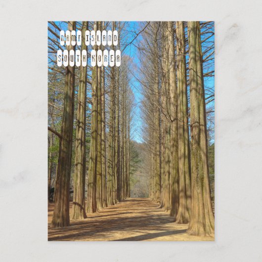 波島 ポストカード (正面)