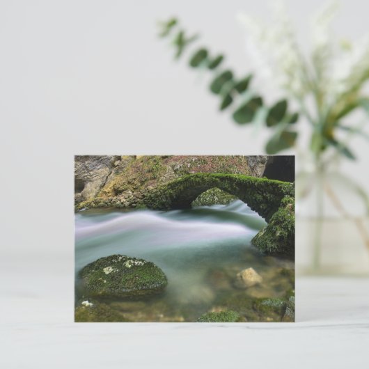 波止め橋 ポストカード (スタンド正面)