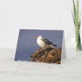 波止め!誕生日カード カード (裏面)