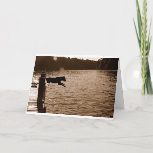 波止場から跳ぶDixie カード (正面)