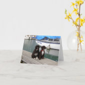 波止場の水犬 カード (黄色い花)