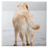 波止場の犬 タイル (正面)