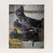 波止場のBlack Labs ジグソーパズル (縦)