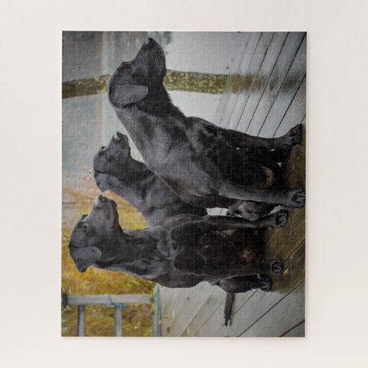 波止場のBlack Labs ジグソーパズル (縦)