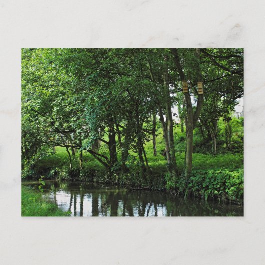 波止場フィーダー運河、Bute Park、カーディフ、ウェールズ。 ポストカード (正面)