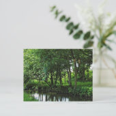 波止場フィーダー運河、Bute Park、カーディフ、ウェールズ。 ポストカード (スタンド正面)