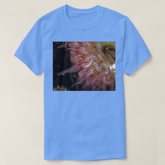 波状の Tシャツ (デザイン正面)