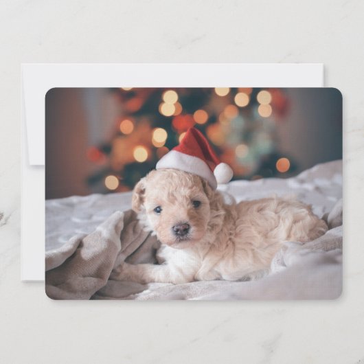 波状パーソナライズされた文具ノートフォトカード ノートカード (裏面)