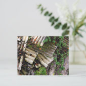 波状 ポストカード (スタンド正面)