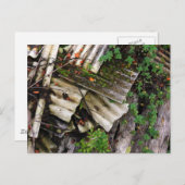 波状 ポストカード (正面/裏面)