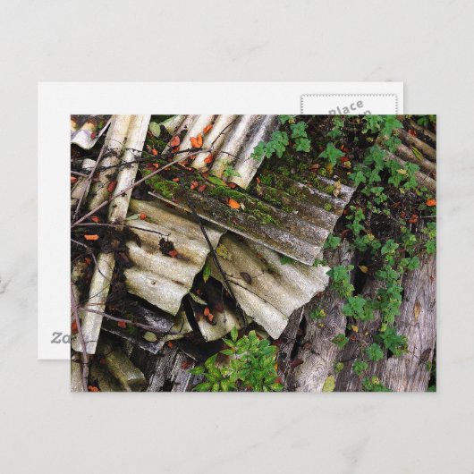 波状 ポストカード (正面/裏面)