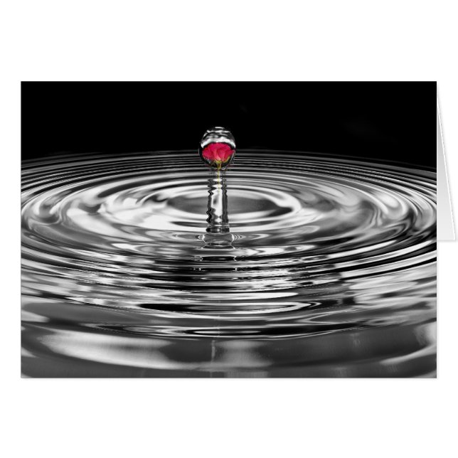 波紋のあるバラ (正面横)