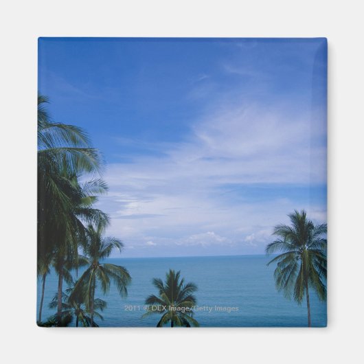 波鮮やか線 マグネット (正面)